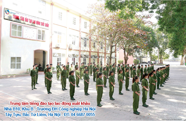 Đơn vị trực thuộc Công ty LETCO