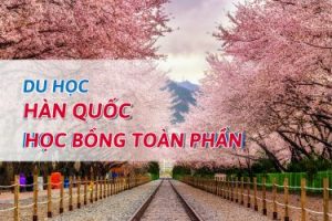 HỌC BỔNG TOÀN PHẦN – DU HỌC HÀN QUỐC